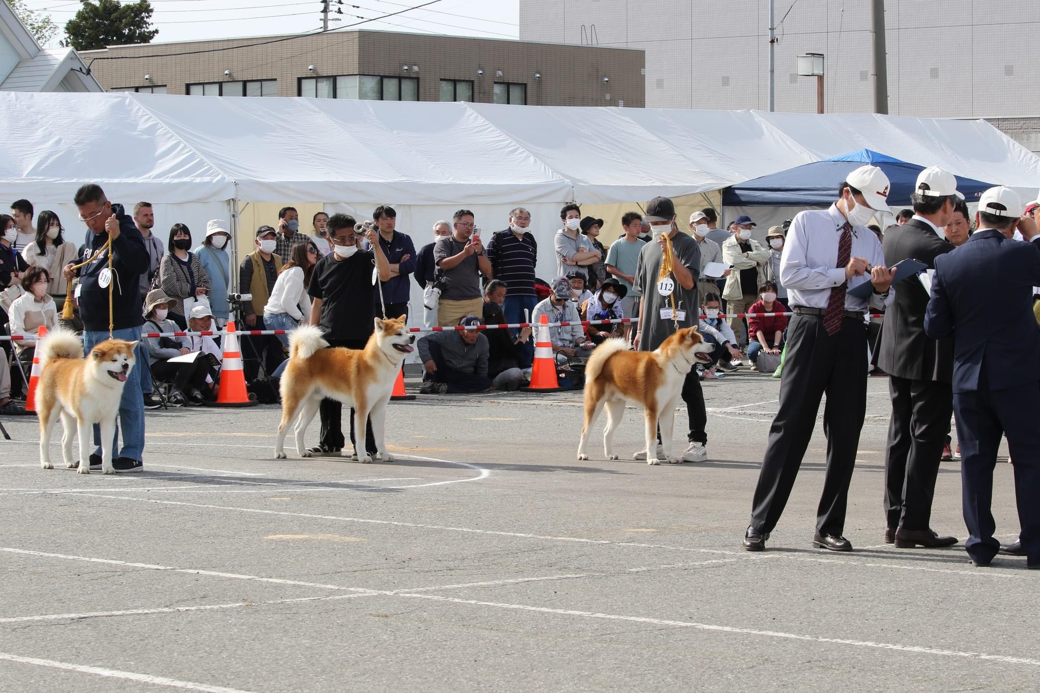 Akita 2024 inu hozonkai